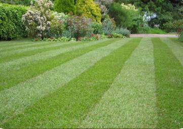 Rounded Rectangle 16 copy