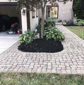 Rounded Rectangle 16